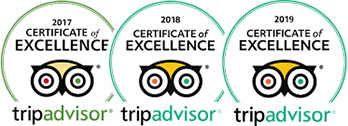 trip advisor certification